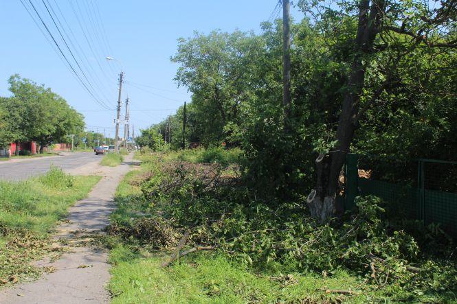 Новини Вінниці - фото з «Думка жителів владу не цікавить». На Кореї сваряться через ремонт вулиці «Думка жителів владу не цікавить». На Кореї сваряться через ремонт вулиці, фото №1 на сайті 20minut.ua
