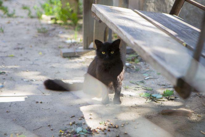 Фоторепортаж з комуналки. Як на Соборній живуть без туалетів, ванних кімнат та надій, фото №25 на сайті 20minut.ua