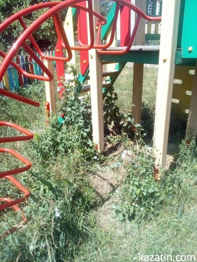 Фото дня: дитячий майданчик біля танку заріс бур'янами, фото №4 на сайті 20minut.ua