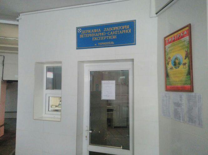 Чи є нітрати в овочах та фруктах на ринку, перевірили журналісти "20 хвилин", фото №3 на сайті 20minut.ua