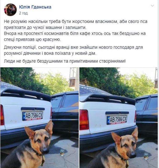 Новини Вінниці - фото з На Космонавтів до чужої автівки прив’язали вівчарку. Тварина скавуліла всю ніч На Космонавтів до чужої автівки прив’язали вівчарку. Тварина скавуліла всю ніч, фото №1 на сайті 20minut.ua