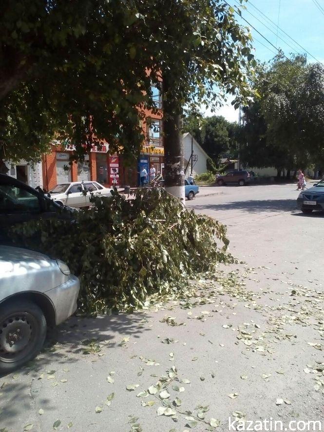 Козятин сьогодні: гілки на тротуарах та нові клумби, фото №3 на сайті 20minut.ua