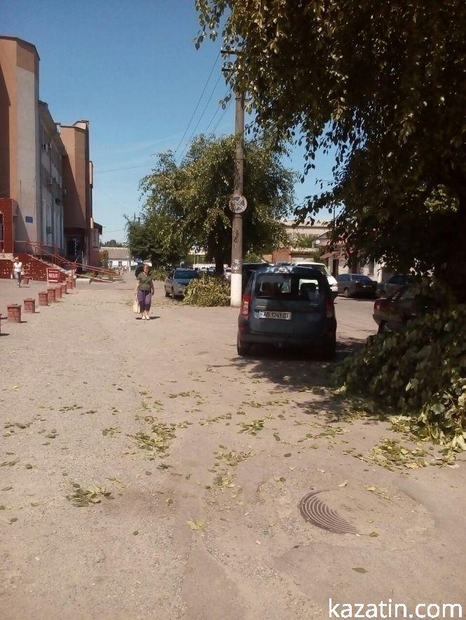 Козятин сьогодні: гілки на тротуарах та нові клумби, фото №1 на сайті 20minut.ua