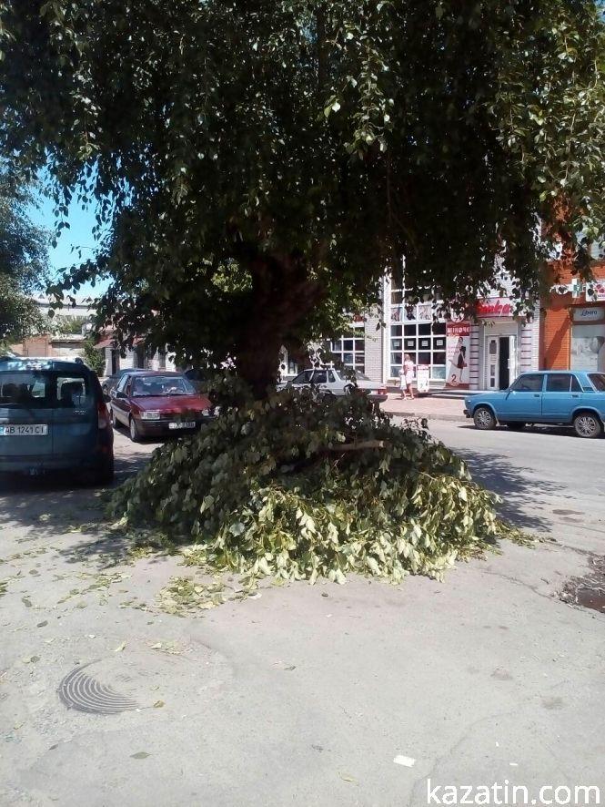 Козятин сьогодні: гілки на тротуарах та нові клумби, фото №2 на сайті 20minut.ua