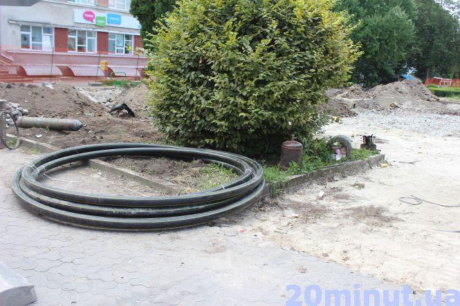 Новини Тернополя - фото з Чому з Чорновола забрали туї та якими деревами їх замінять Чому з Чорновола забрали туї та якими деревами їх замінять, фото №3 на сайті 20minut.ua