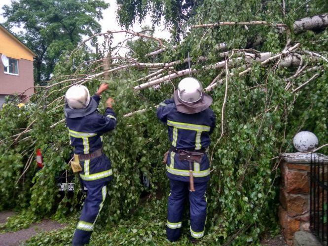 Негода на Вінниччині: будинки без дахів, пошкоджений урожай та «деревопад», фото №4 на сайті 20minut.ua