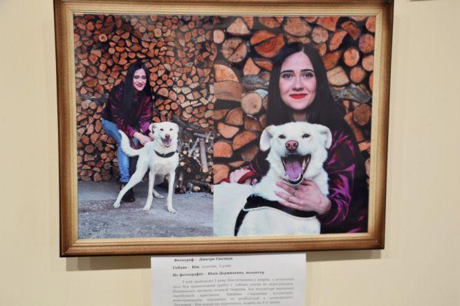 У Житомирі до Міжнародного дня собак організували фотовиставку особливих тварин, фото №2 на сайті 20minut.ua
