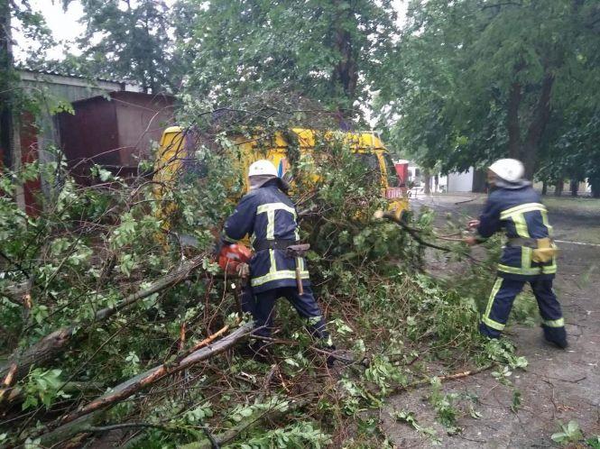 Негода на Вінниччині: будинки без дахів, пошкоджений урожай та «деревопад», фото №1 на сайті 20minut.ua