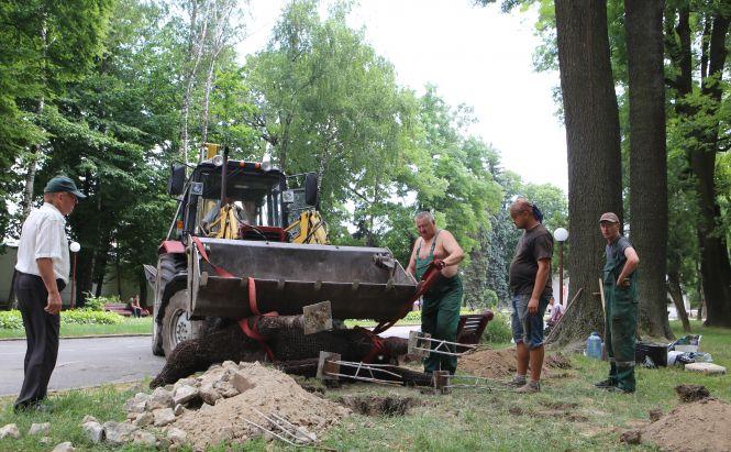 Новини Вінниці - фото з У Центральному парку встановили зелені скульптури коней У Центральному парку встановили зелені скульптури коней, фото №2 на сайті 20minut.ua