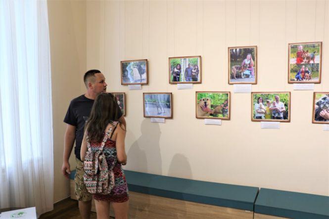 У Житомирі до Міжнародного дня собак організували фотовиставку особливих тварин, фото №1 на сайті 20minut.ua