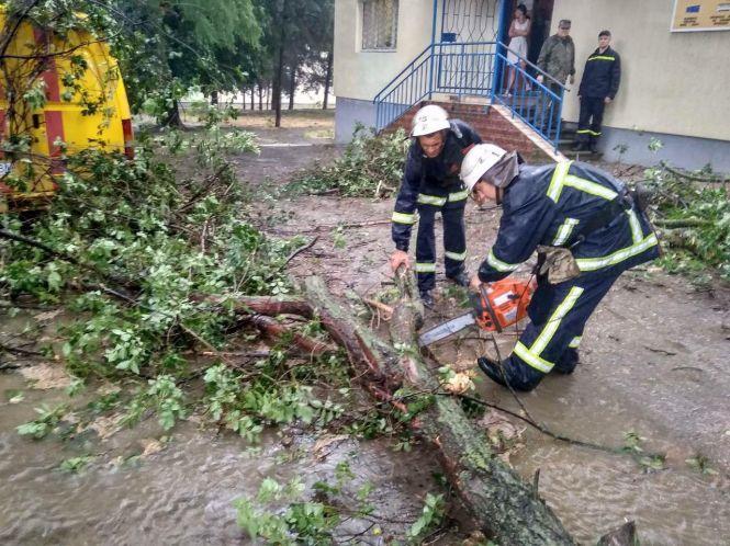 Негода на Вінниччині: будинки без дахів, пошкоджений урожай та «деревопад», фото №2 на сайті 20minut.ua