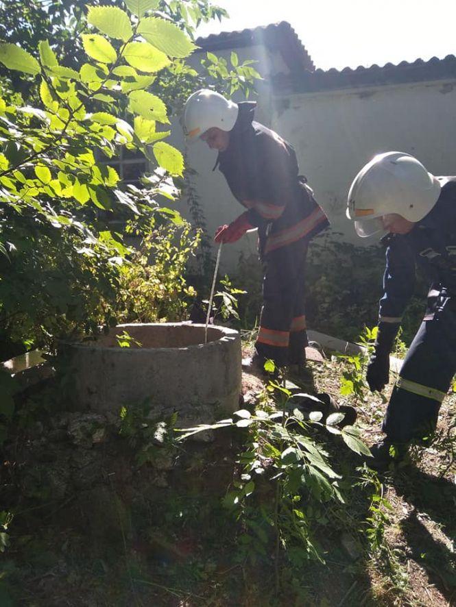 Новини Козятина - фото з Як рятували собаку з закинутого колодязя (ФОТО) Як рятували собаку з закинутого колодязя (ФОТО), фото №1 на сайті 20minut.ua