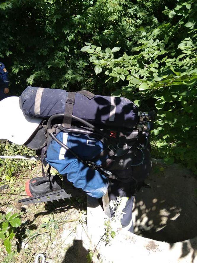 Новини Козятина - фото з Як рятували собаку з закинутого колодязя (ФОТО) Як рятували собаку з закинутого колодязя (ФОТО), фото №2 на сайті 20minut.ua