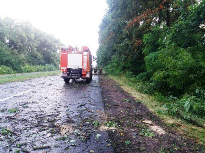 Через грози і шквальний вітер в області  залишаються знеструмленими 8 населених пунктів, фото №1 на сайті 20minut.ua