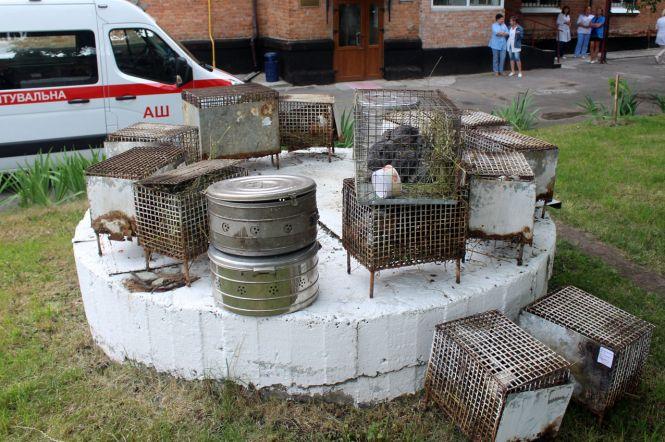 25 рятувальників на 6 машинах гасили пожежу віварію у Хмельницькому (ФОТО), фото №1 на сайті vsim.ua