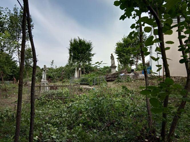 Волонтери з Польщі приїхали на Тернопільщину, щоб поприбирати могили своїх предків, фото №3 на сайті 20minut.ua