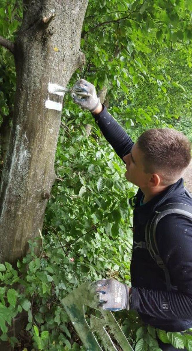 Новини Тернополя - фото з У Кутківецьму лісі тернополяни зробили маркований маршрут для бігунів та велосипедистів У Кутківецьму лісі тернополяни зробили маркований маршрут для бігунів та велосипедистів, фото №2 на сайті 20minut.ua