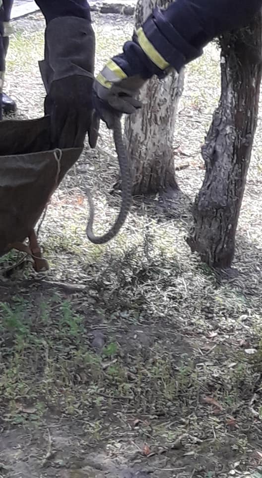 Ð¡Ð²ÑÑÐ»Ð¸Ð½Ð° Ð²ÑÐ´ Ð¡ÐµÑÐµÐ³Ð¸ Ð ÑÐ´Ð¾Ð³Ð¾.