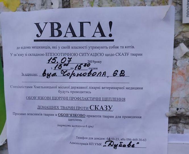 Новини Хмельницького - фото з У Хмельницькому робитимуть щеплення від сказу: де та чому У Хмельницькому робитимуть щеплення від сказу: де та чому, фото №1 на сайті vsim.ua