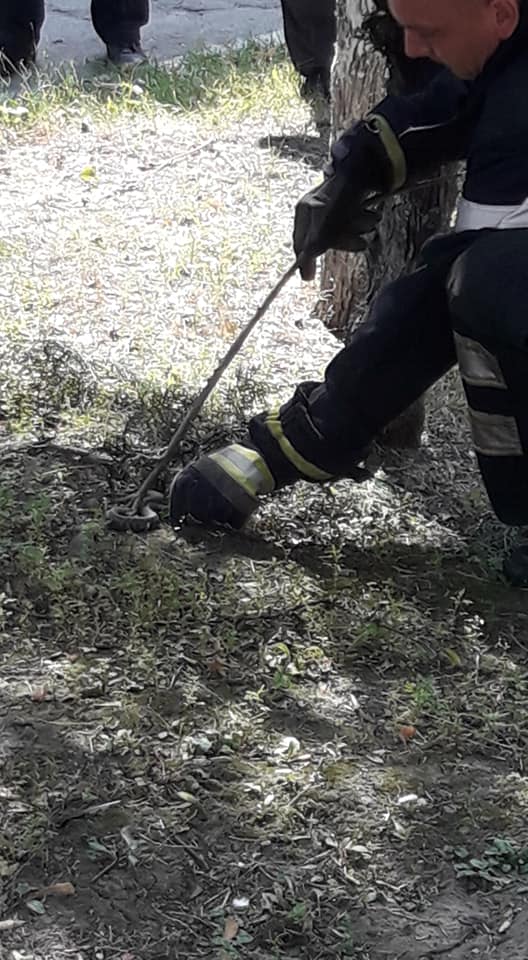 Ð¡Ð²ÑÑÐ»Ð¸Ð½Ð° Ð²ÑÐ´ Ð¡ÐµÑÐµÐ³Ð¸ Ð ÑÐ´Ð¾Ð³Ð¾.