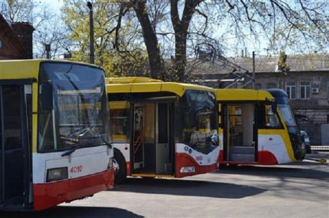 Новини Житомира - фото з Одеські уроки реформування транспорту Одеські уроки реформування транспорту, фото №2 на сайті 20minut.ua