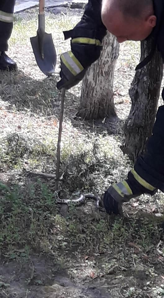 Ð¡Ð²ÑÑÐ»Ð¸Ð½Ð° Ð²ÑÐ´ Ð¡ÐµÑÐµÐ³Ð¸ Ð ÑÐ´Ð¾Ð³Ð¾.