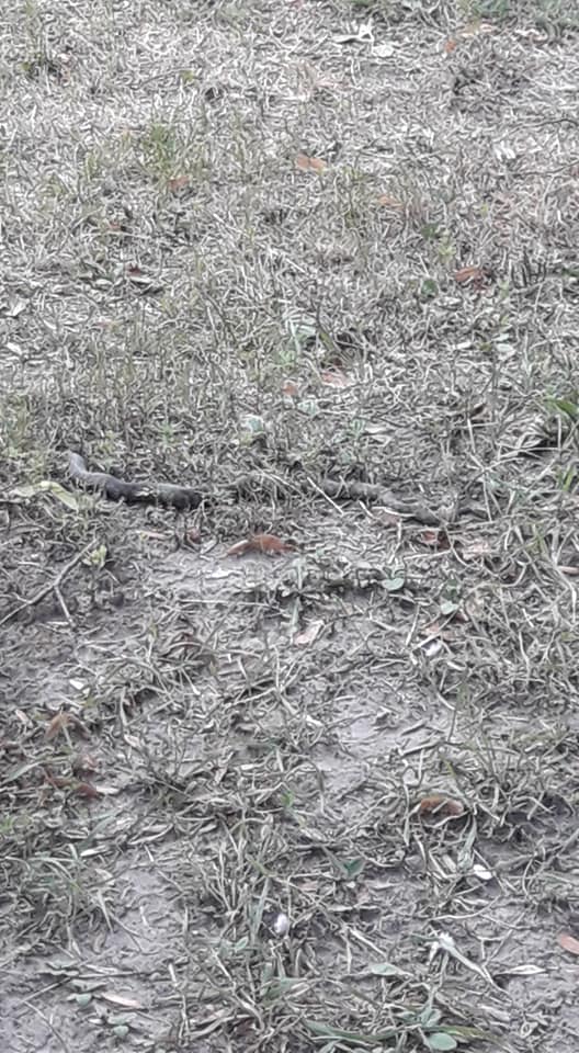 Ð¡Ð²ÑÑÐ»Ð¸Ð½Ð° Ð²ÑÐ´ Ð¡ÐµÑÐµÐ³Ð¸ Ð ÑÐ´Ð¾Ð³Ð¾.