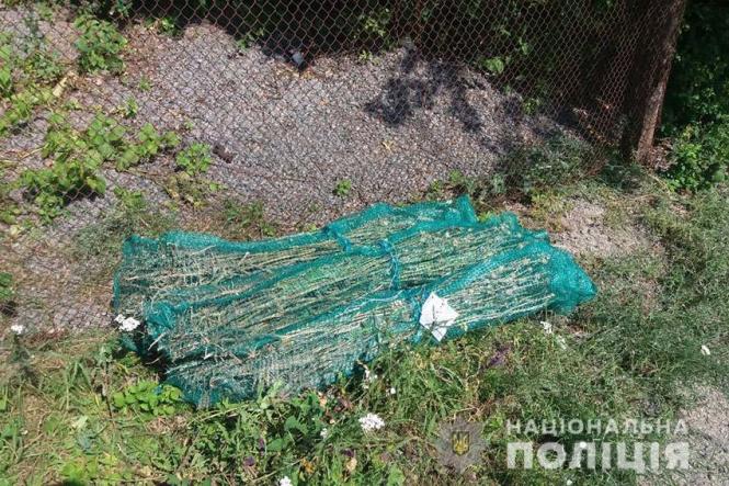 Новини Кам'янця-Подільського - фото з На Кам’янеччині поліцейські вилучили в пенсіонерки понад дві сотні кущі маку На Кам’янеччині поліцейські вилучили в пенсіонерки понад дві сотні кущі маку, фото №1 на сайті 20minut.ua