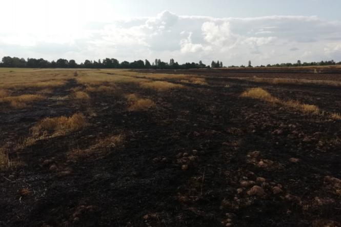 Новини Хмельницького - фото з На Хмельниччині вогонь знищив велику площу пшениці IMG_20190715_173518.jpg