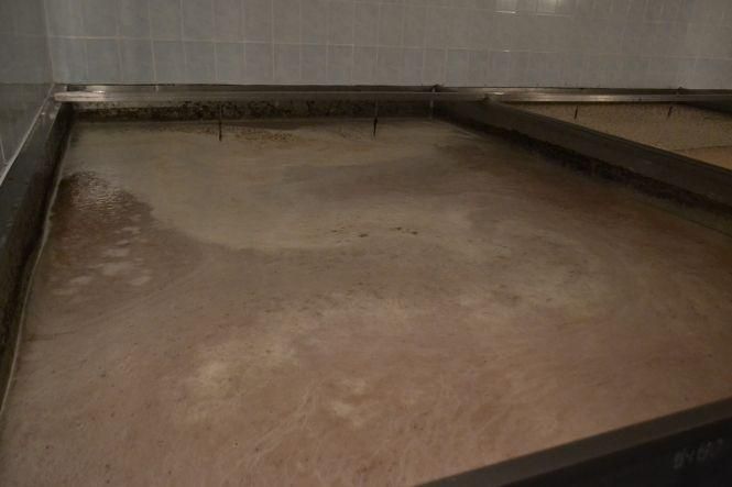 Від “Баварського” до “Хмельницького”: як варять Хмельницьке пиво, фото №3 на сайті vsim.ua