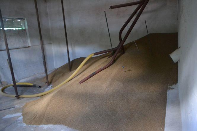 Від “Баварського” до “Хмельницького”: як варять Хмельницьке пиво, фото №7 на сайті vsim.ua