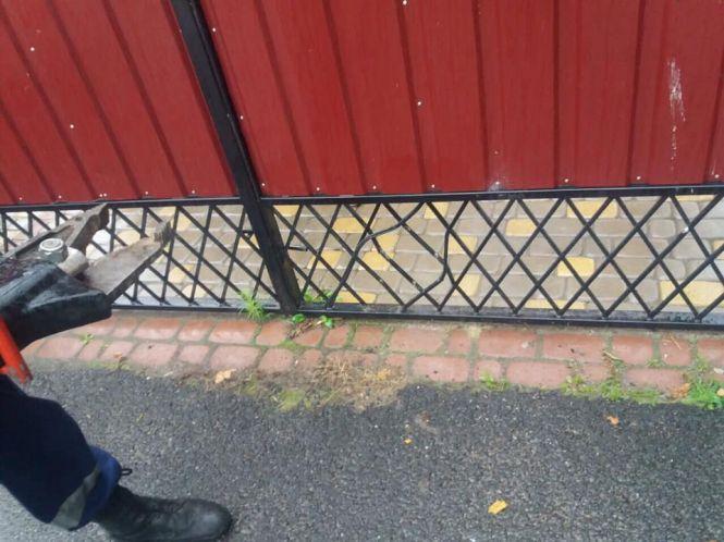 Операція «Порятунок»: у Вінниці песик застряг у паркані, а у Сутисках цуценята впали в яму, фото №2 на сайті 20minut.ua