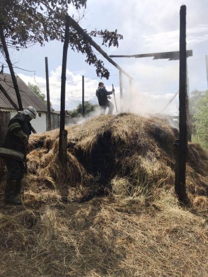 У Хорошівському районі хлопчик з сірниками спалив 10 тонн сіна, фото №1 на сайті 20minut.ua