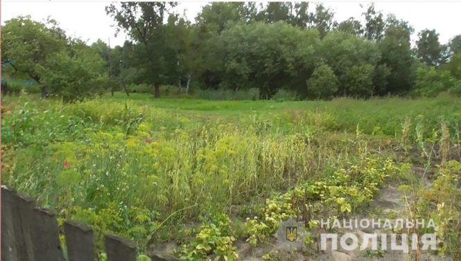 Поліцейські продовжують "збирати урожай" маку і коноплі на присадибних ділянках жителів Житомирщини, фото №1 на сайті 20minut.ua