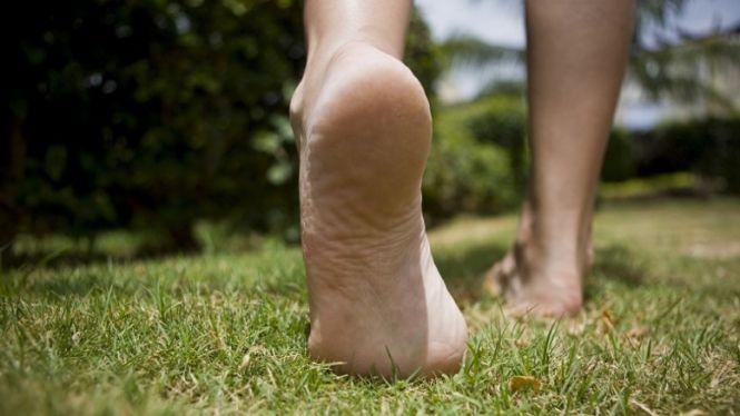 Новини Вінниці - фото з Цей день 19 липня: свята, чим день увійшов в історію та забобони Цей день 19 липня: свята, чим день увійшов в історію та забобони, фото №1 на сайті 20minut.ua