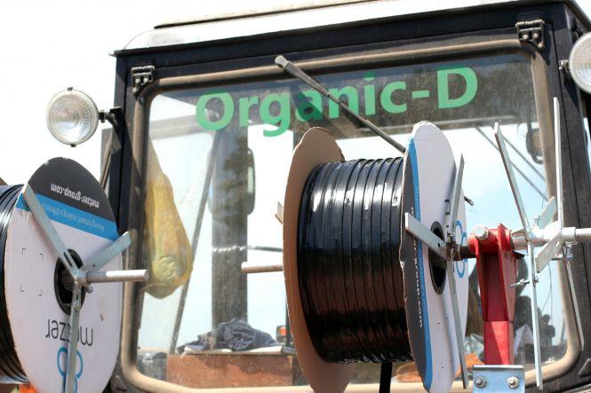 Новини Вінниці - фото з Народжується новий бренд — Вінницька морква (Прес-служба Organic-D) Народжується новий бренд — Вінницька морква (Прес-служба Organic-D), фото №2 на сайті 20minut.ua