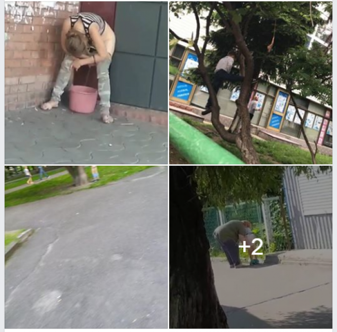Новини Хмельницького - фото з “У нормальних містах ставлять біотуалети”: чому в Хмельницькому справляють потреби під деревом “У нормальних містах ставлять біотуалети”: чому в Хмельницькому справляють потреби під деревом, фото №2 на сайті vsim.ua