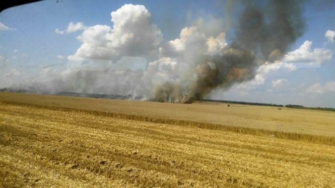 У Ружинському районі вогнем знищено 3,5 га посівів пшениці, фото №1 на сайті 20minut.ua