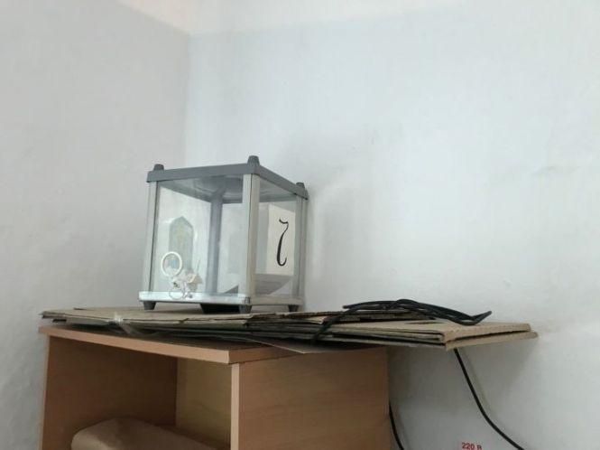 Новини Вінниці - фото з Хроніка голосування та порушень: все про вибори у Вінницькій області Хроніка голосування та порушень: все про вибори у Вінницькій області, фото №2 на сайті 20minut.ua