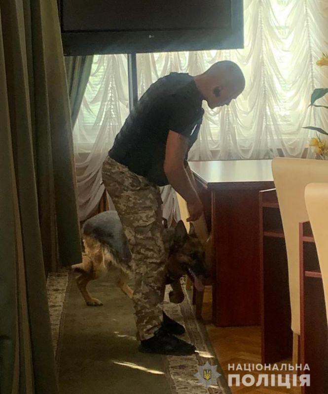 Знову повідомлення про замінування: цього разу шукають вибухівку у Житомирській ОДА, фото №2 на сайті 20minut.ua