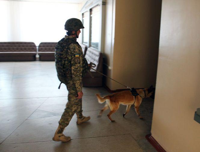 Новини Житомира - фото з Втретє у цьому місяці поліція перевіряє повідомлення про "мінування" вишів у Житомирі Втретє у цьому місяці поліція перевіряє повідомлення про "мінування" вишів у Житомирі, фото №1 на сайті 20minut.ua