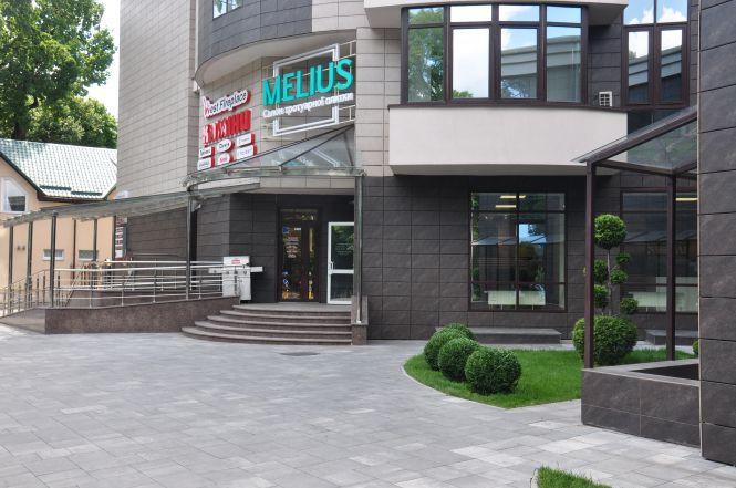 Як працює та що пропонує перший салон тротуарної плитки Melius у Вінниці (Новини компаній), фото №1 на сайті 20minut.ua