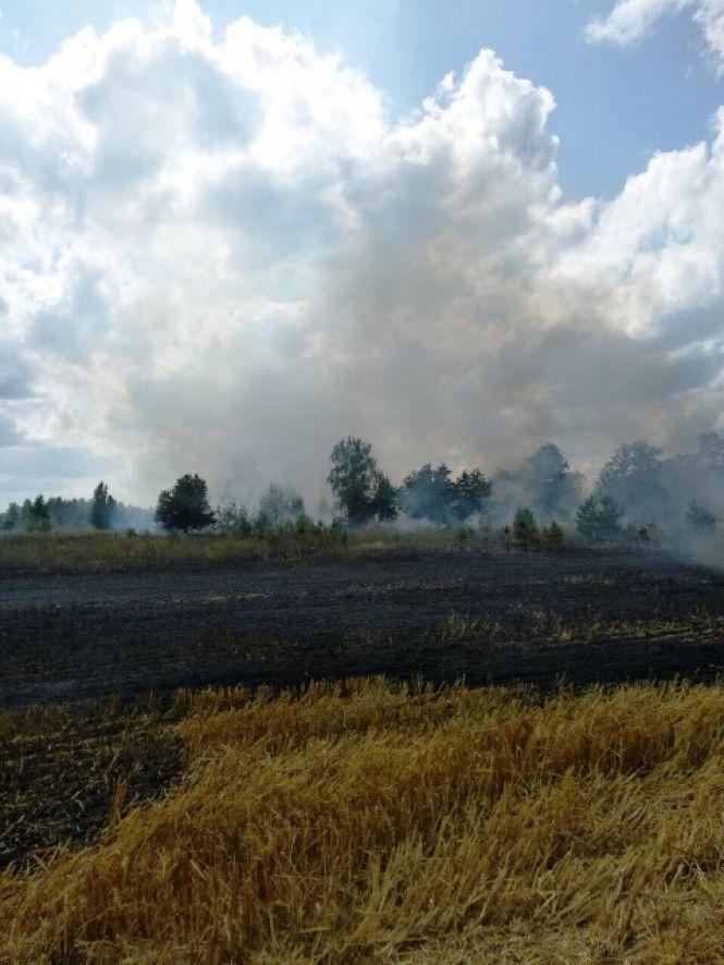 Гектар жита та 1,5 га стерні згоріли на Малинщині, фото №3 на сайті 20minut.ua