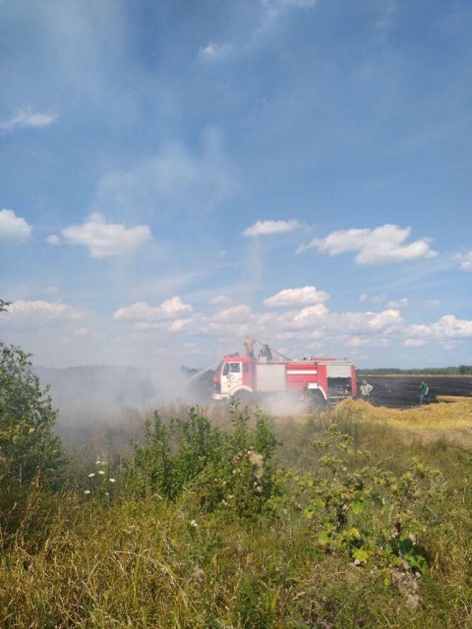 Пожежа на пшеничному полі у Коростенському районі: спалахнуло від автомобіля, фото №1 на сайті 20minut.ua