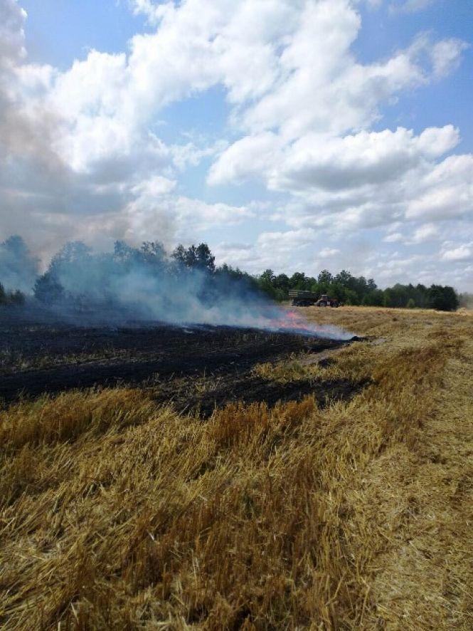 Гектар жита та 1,5 га стерні згоріли на Малинщині, фото №2 на сайті 20minut.ua