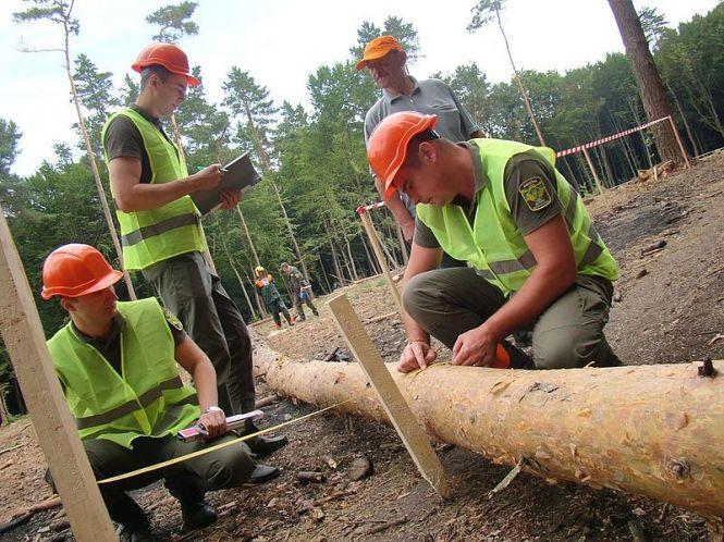 Новини Тернополя - фото з Хто на Тернопільщині найкраще валить ліс Хто на Тернопільщині найкраще валить ліс, фото №1 на сайті 20minut.ua