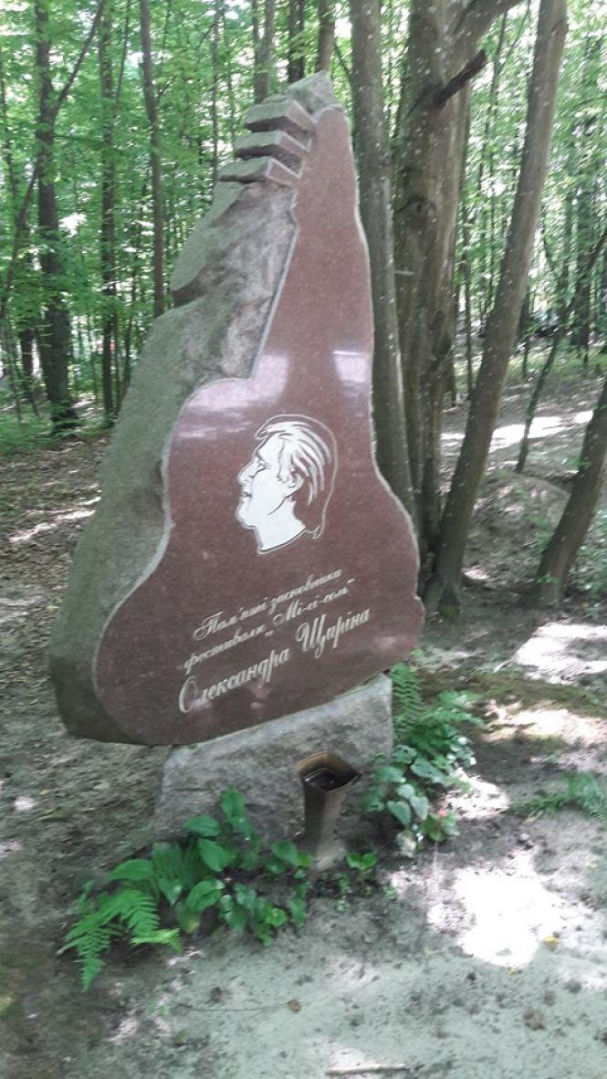 У скельному містечку під Денишами пройшов фестиваль «Мі-сі-соль», фото №5 на сайті 20minut.ua