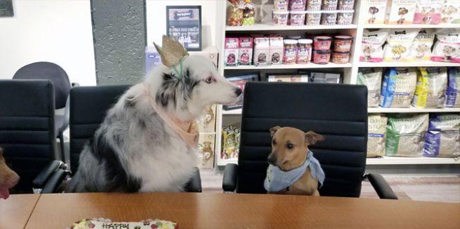 Новини Тернополя - фото з Сьогодні, 1 серпня: День інкасатора та Всесвітній день скаутської хустки Сьогодні, 1 серпня: День інкасатора та Всесвітній день скаутської хустки, фото №1 на сайті 20minut.ua