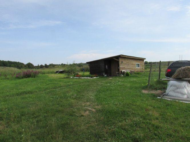 Новини Козятина - фото з Купують, а потім випускають вухатих та пернатих на волю (відео + фото) Купують, а потім випускають вухатих та пернатих на волю (відео + фото), фото №3 на сайті 20minut.ua