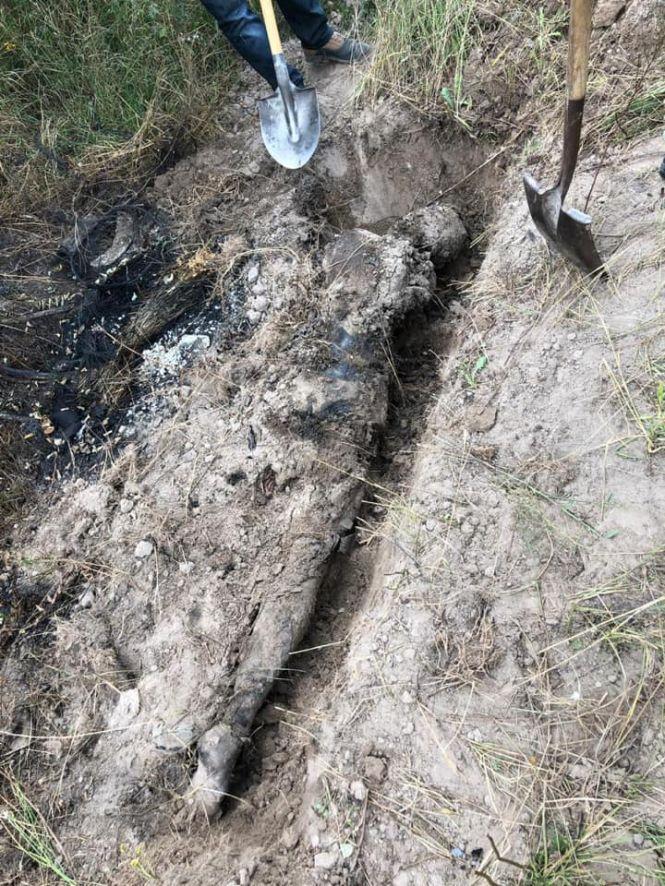 Новини Житомира - фото з Будівельника з Житомирщини вбили і закопали в лісосмузі колеги по роботі Будівельника з Житомирщини вбили і закопали в лісосмузі колеги по роботі, фото №2 на сайті 20minut.ua